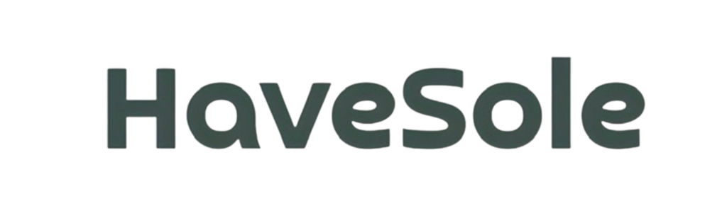 havesole logo